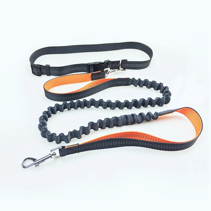 Pet Supplies Dog Running Pull Dog Leash Cj