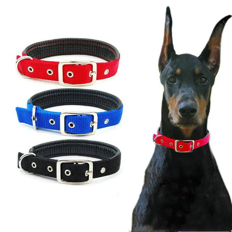 Medium and Large Dog Collars cJ