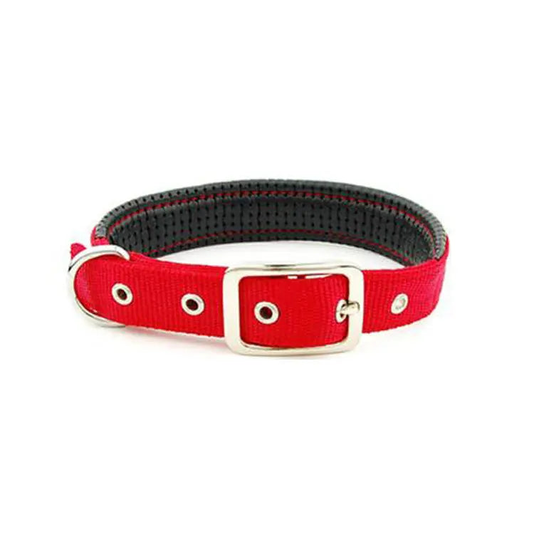 Medium and Large Dog Collars cJ