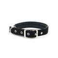 Medium and Large Dog Collars cJ