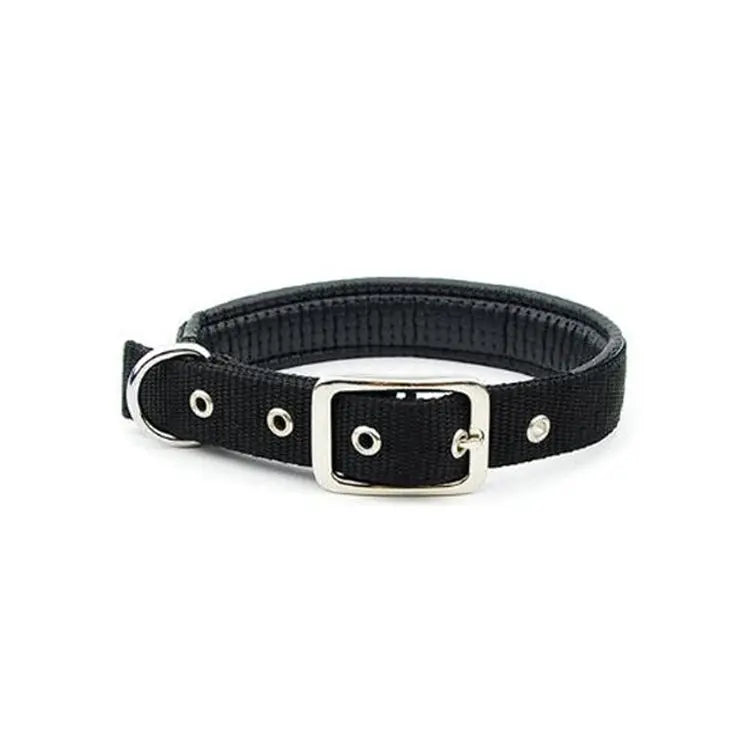 Medium and Large Dog Collars cJ