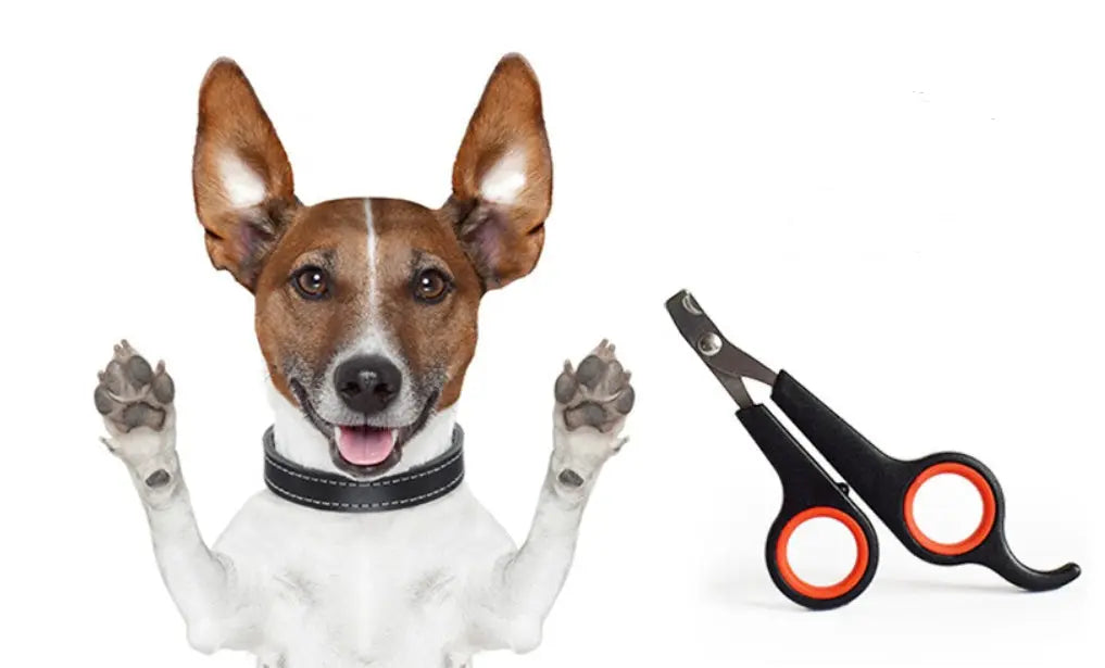 Dog Nail Clipper Pet Nail Scissors cJ