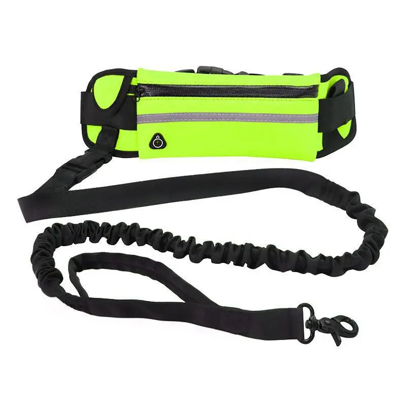 Pet Purse Leash For Dog Walking cJ