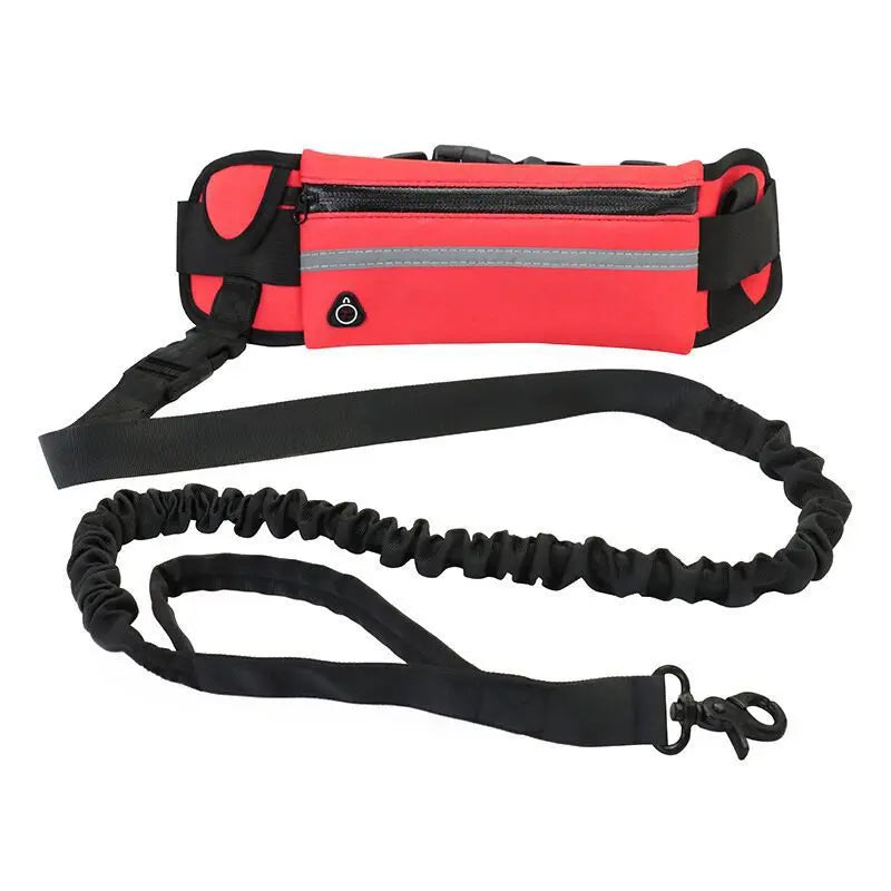 Pet Purse Leash For Dog Walking cJ