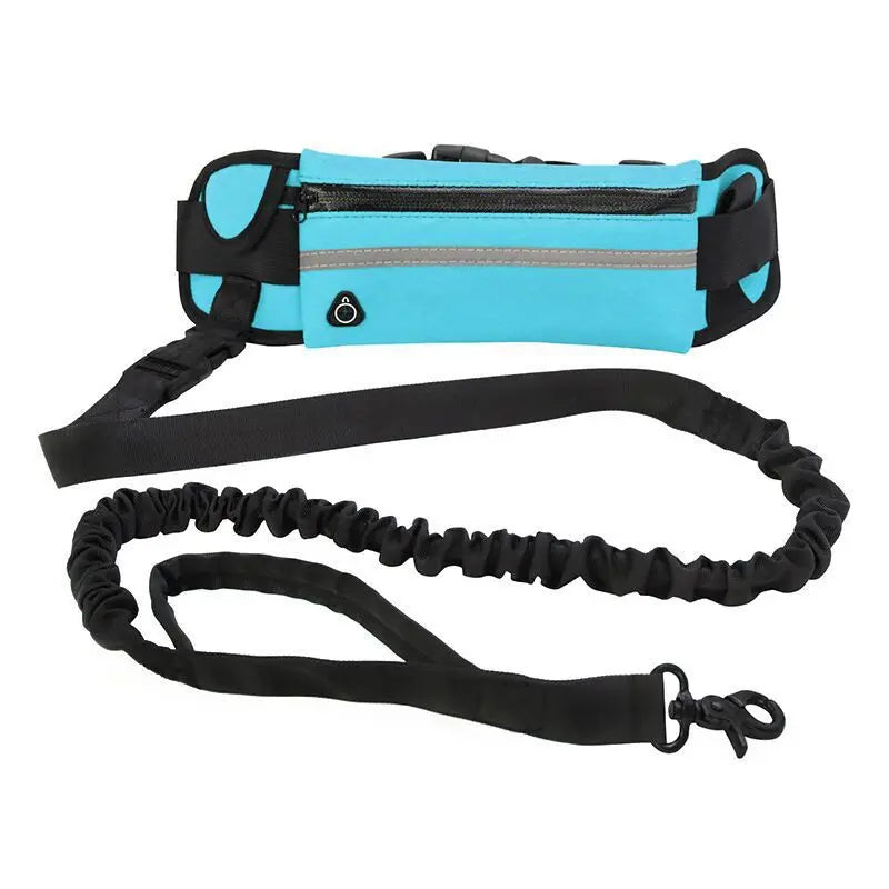 Pet Purse Leash For Dog Walking cJ