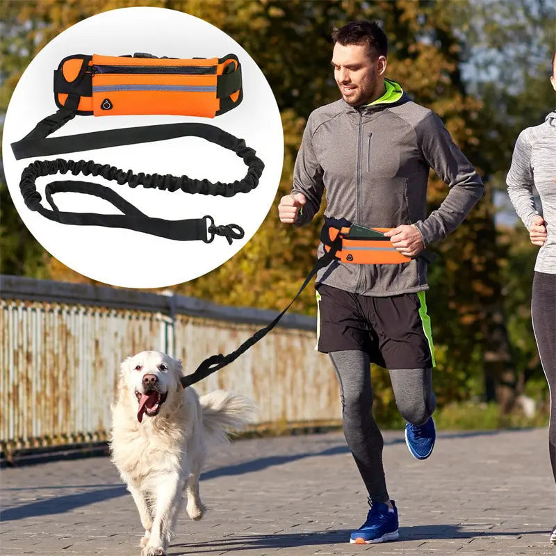 Pet Purse Leash For Dog Walking cJ