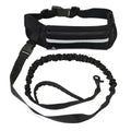 Pet Purse Leash For Dog Walking cJ
